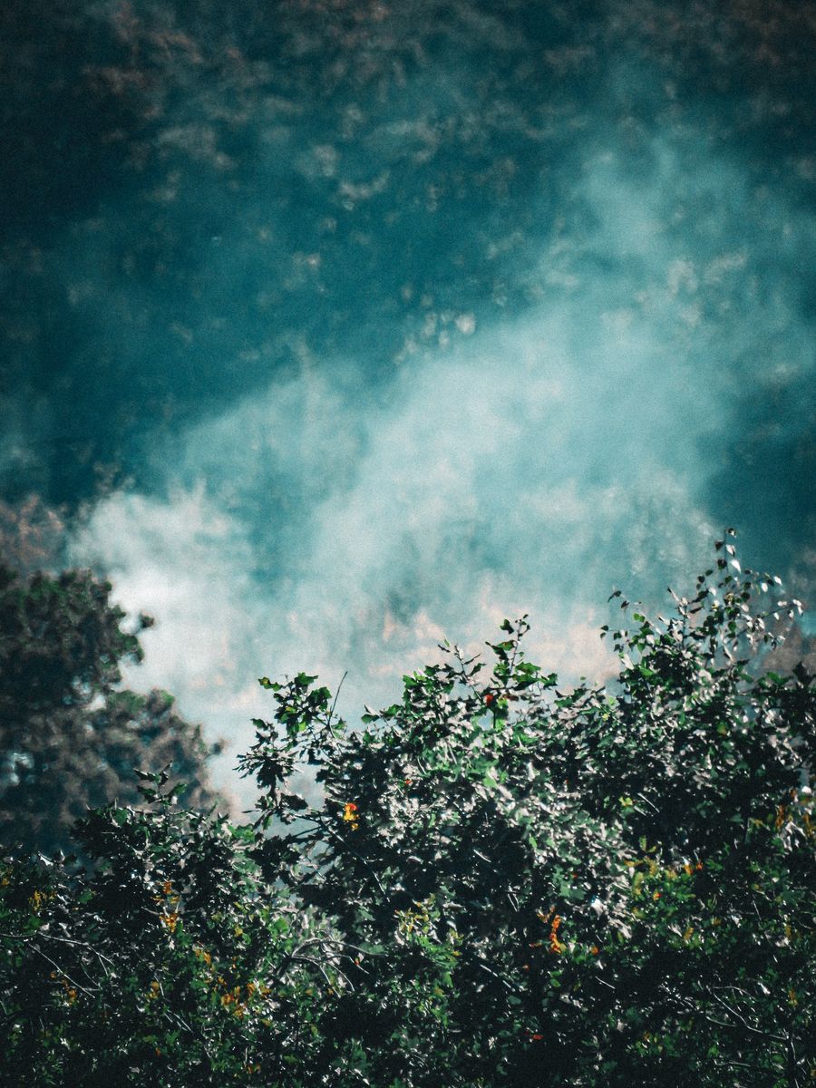 drip tip