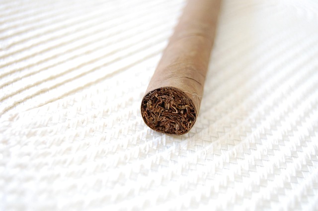 mesh coil